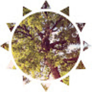 Meet your Posher, Meredith